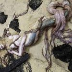 10 Evidences Prove the Mermaid Body Found Was Hoax
