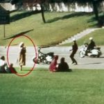 20 Facts to Know the Babushka Lady Theory and the Conspiracy