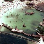 10 Reasons about Why did Disney Discovery Island Close Down