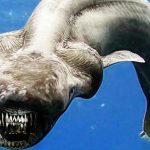 20 Interesting Facts about Frilled Shark to Know What this Creature Is