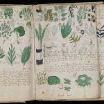 Top 10 Mysteries of the Voynich Manuscript Decoded