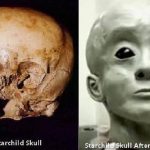 20 Mystery Secrets of the Starchild Skull