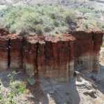 20 Facts of the Olduvai Gorge about why it Rewrote History