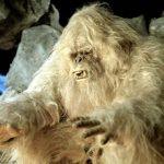 Top 10 Yeti Sightings with Pictures Proved Yeti is Real