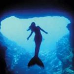 Top 10 Real Life Mermaid Found with Pictures Proved It is Real