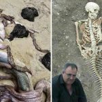 Top 10 Real Life Mermaid Found with Pictures Proved It is Real