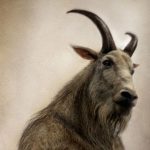 10 Goatman Stories to Know the Legend of This Monster