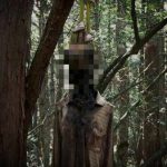 Top 15 Secrets of the Aokigahara Forest about Ghosts and Bodies