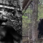 Top 10 Goatman Sightings with Pictures Proved it is real
