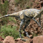 Top 10 Eoraptor Characteristics that have Helped it Survive