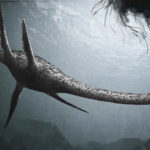 Top 10 Plesiosaur Characteristics that Have Helped it Survive